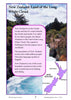 Year 3 NAPLAN Reading Test 2